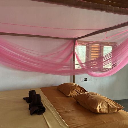 Peanut Farm Surf And Wild Resort - Arugambay 阿鲁甘湾 外观 照片