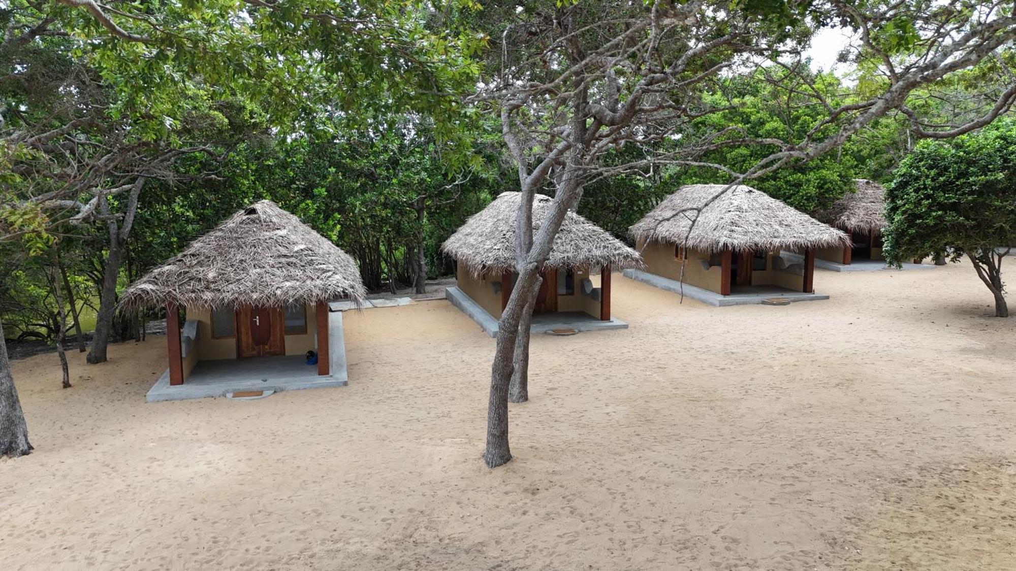 Peanut Farm Surf And Wild Resort - Arugambay 阿鲁甘湾 外观 照片