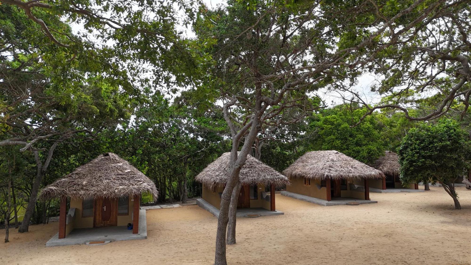 Peanut Farm Surf And Wild Resort - Arugambay 阿鲁甘湾 外观 照片