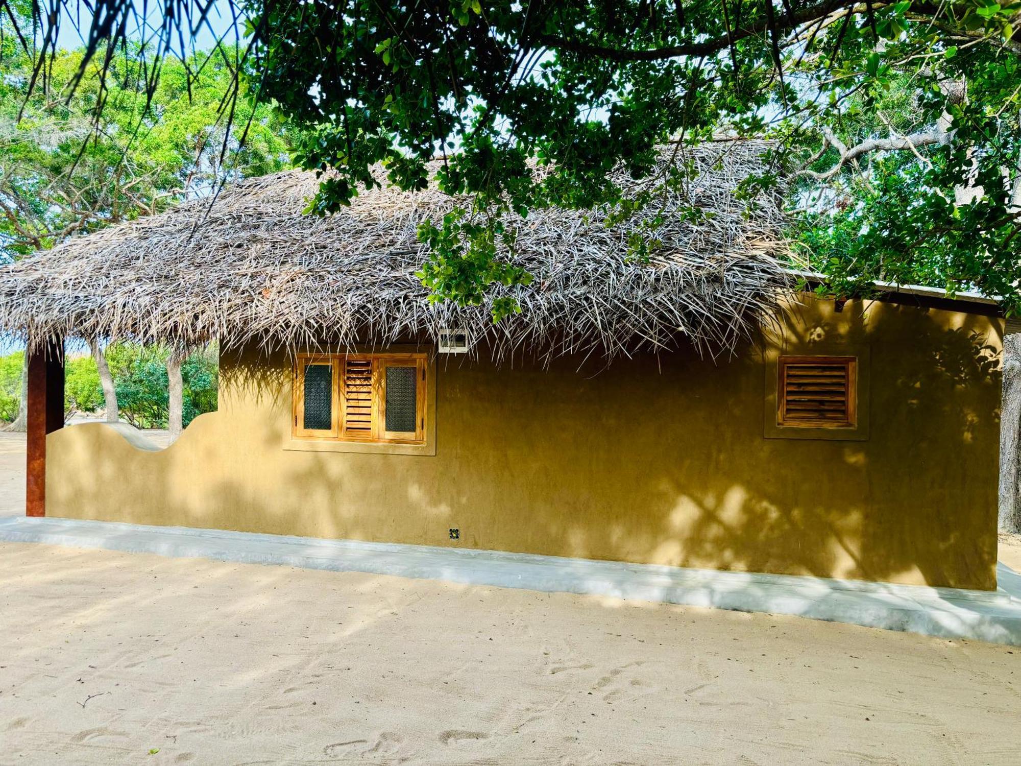 Peanut Farm Surf And Wild Resort - Arugambay 阿鲁甘湾 外观 照片