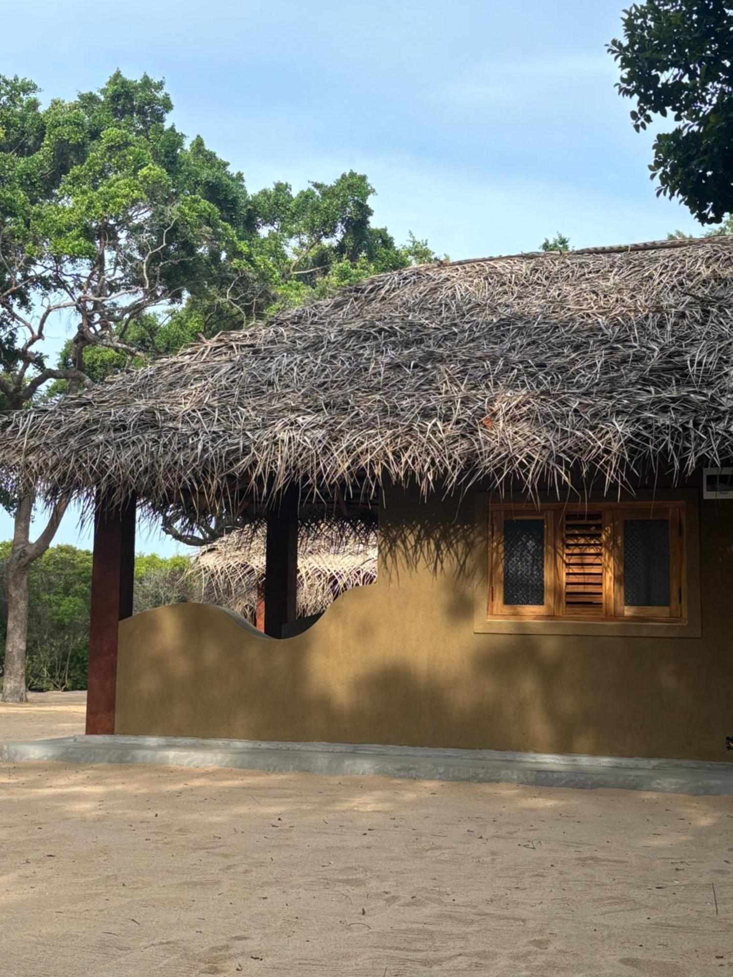 Peanut Farm Surf And Wild Resort - Arugambay 阿鲁甘湾 外观 照片