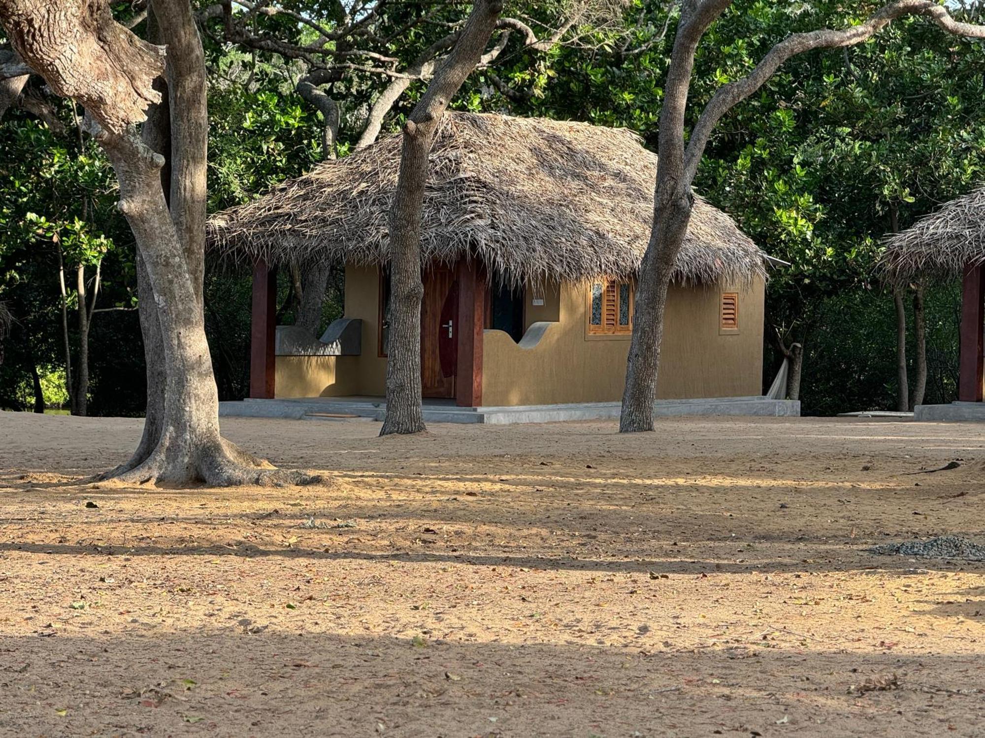 Peanut Farm Surf And Wild Resort - Arugambay 阿鲁甘湾 外观 照片