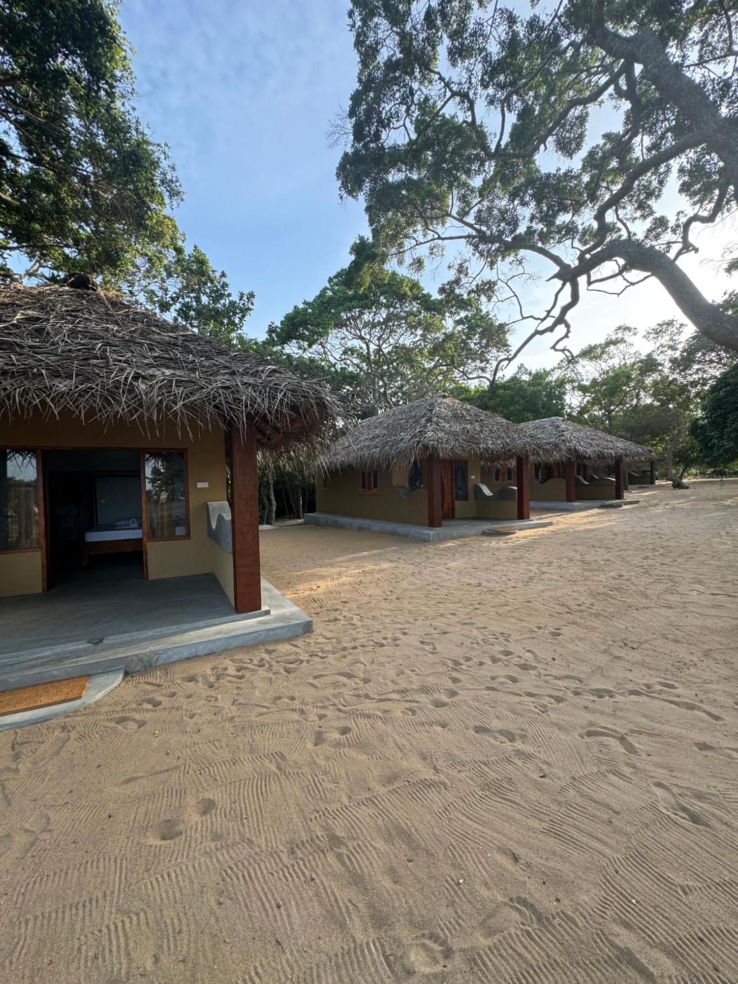 Peanut Farm Surf And Wild Resort - Arugambay 阿鲁甘湾 外观 照片