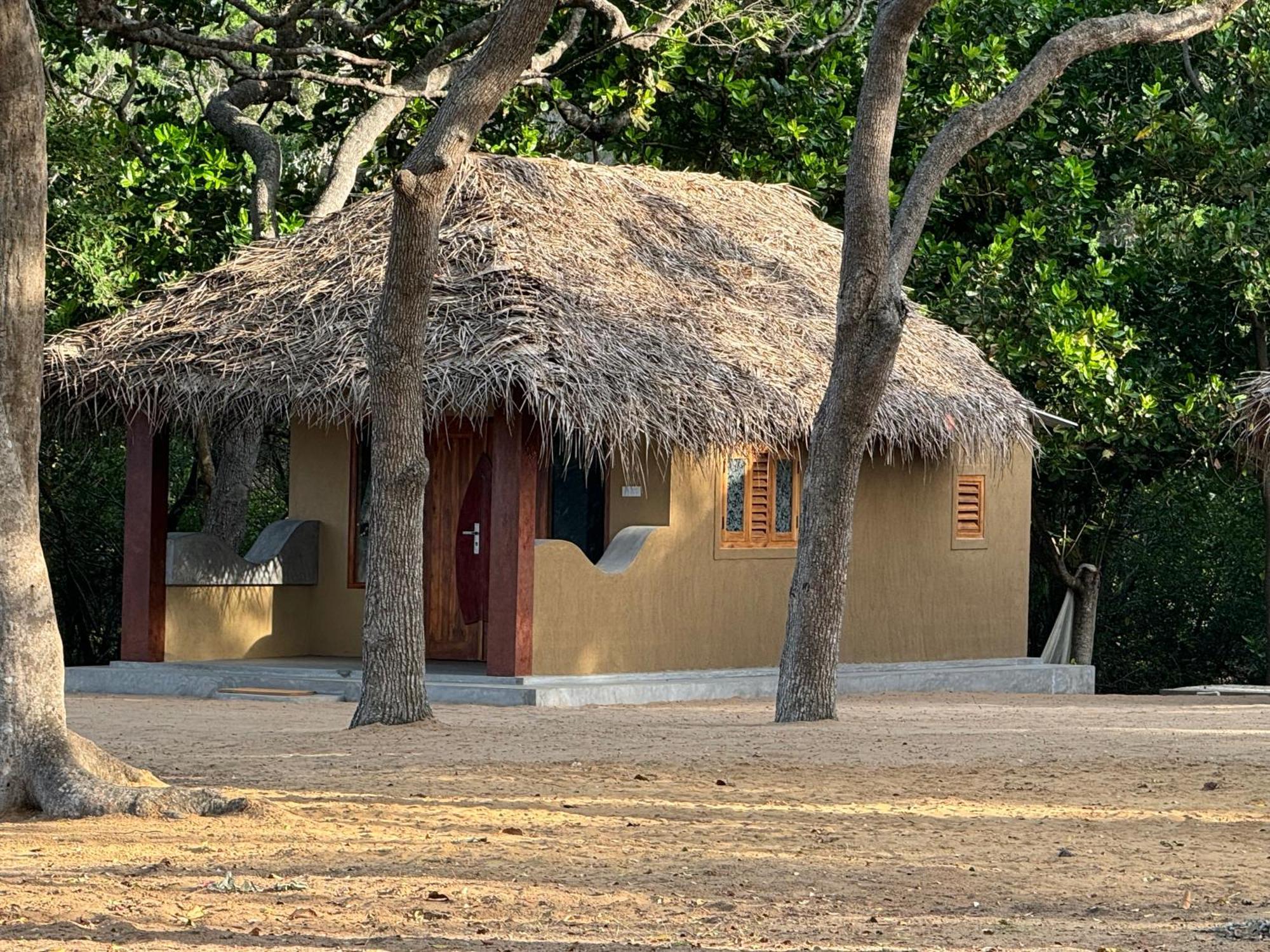 Peanut Farm Surf And Wild Resort - Arugambay 阿鲁甘湾 外观 照片