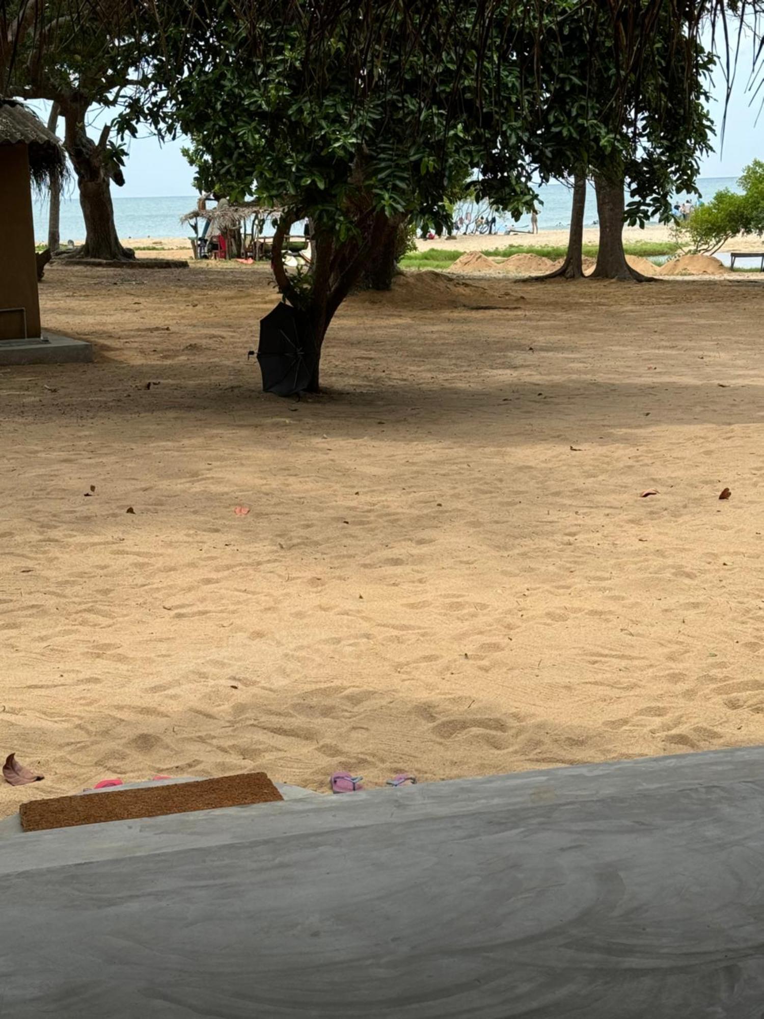 Peanut Farm Surf And Wild Resort - Arugambay 阿鲁甘湾 外观 照片