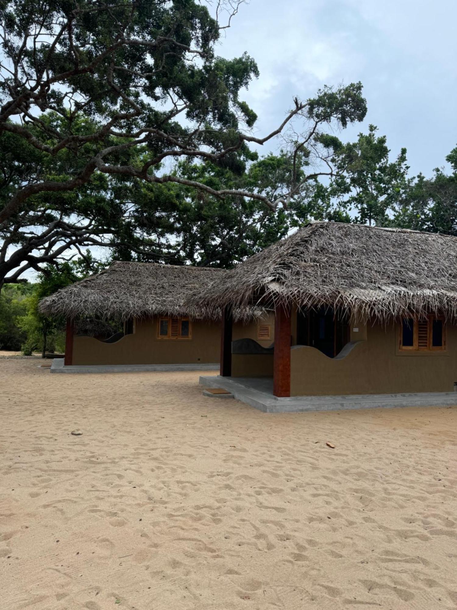 Peanut Farm Surf And Wild Resort - Arugambay 阿鲁甘湾 外观 照片